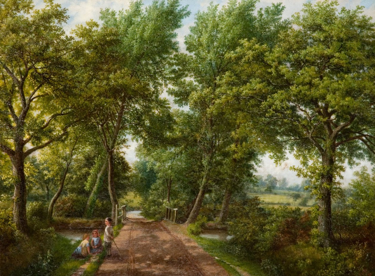 Hob Moor Road Ford, Birmingham, 1870