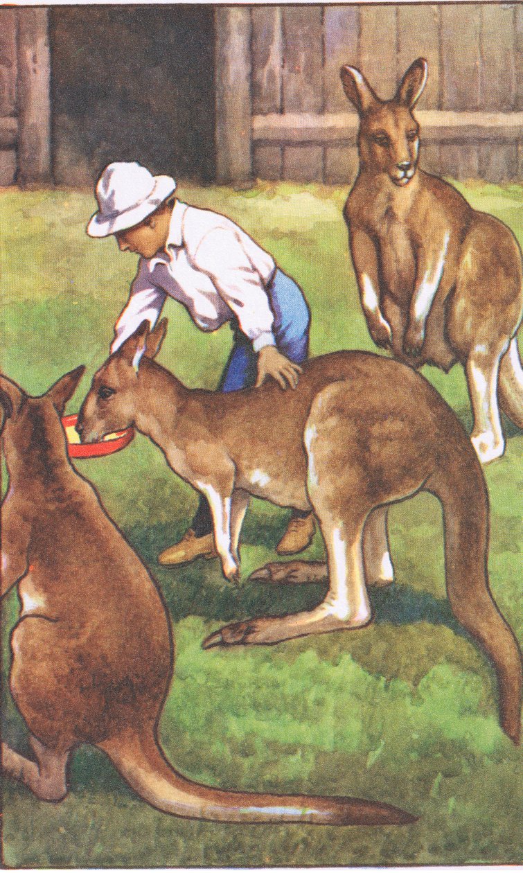Australsk dreng, fra MacMillan skoleplakater, ca. 1950-60