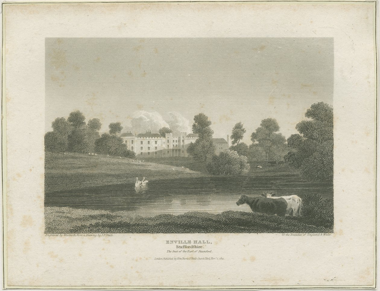 Enville Hall: gravering, nd [c 1814] (tryk) af John Preston Neale