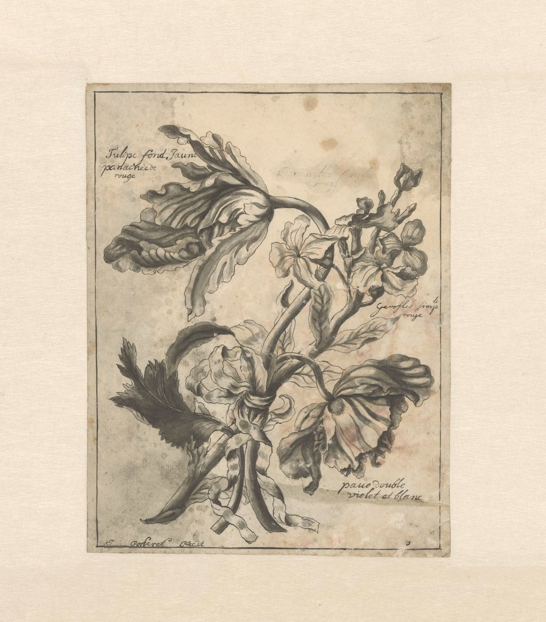 Blomster bundet sammen med et bånd Tulipe fond Jaune / Panachée de rouge / Giroflée simple rouge / (...) dobbelt violet et blanc (titel på objektet) af J. Porteret