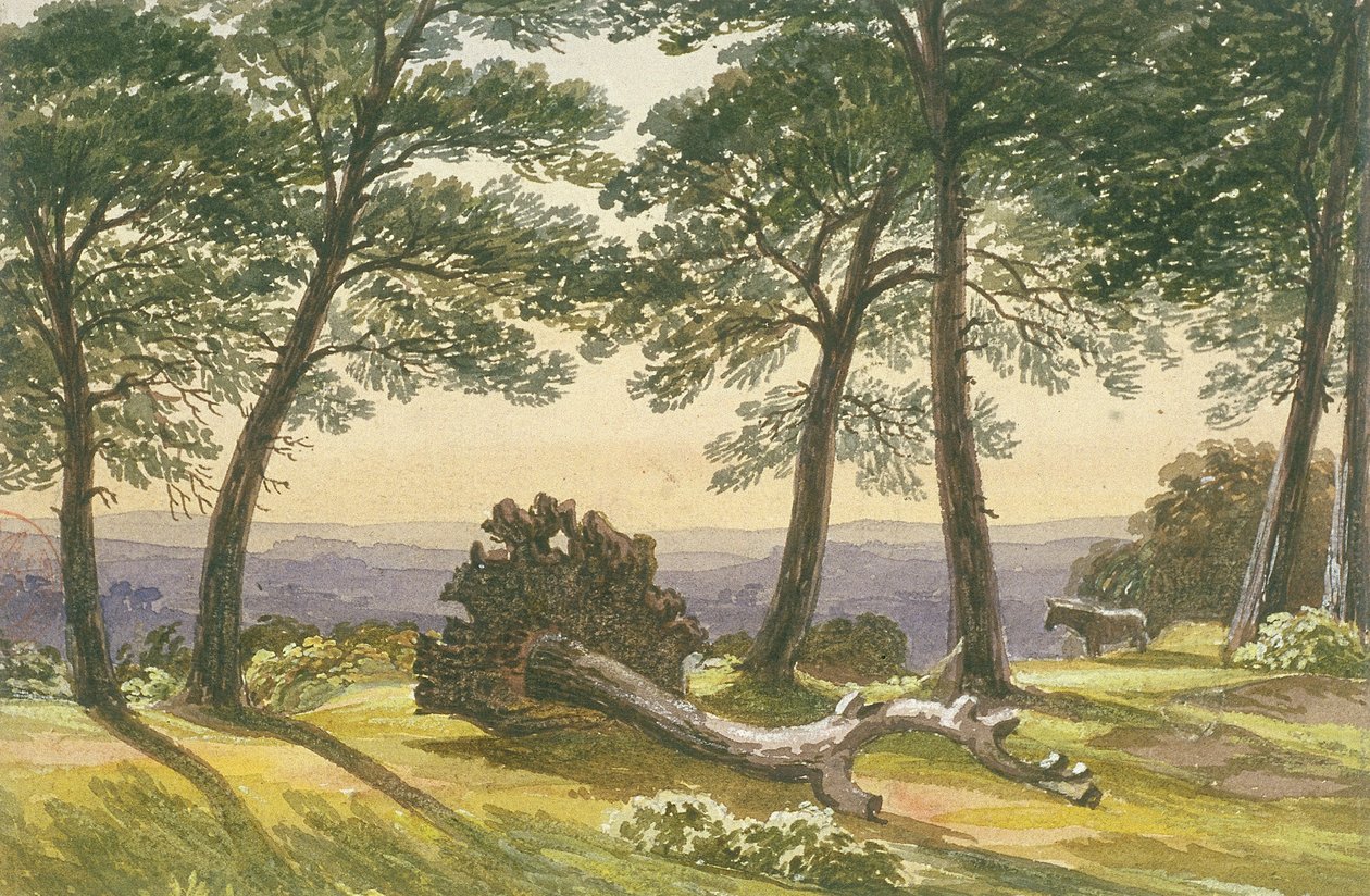 Hampstead Heath, London, c1830 af J Powell