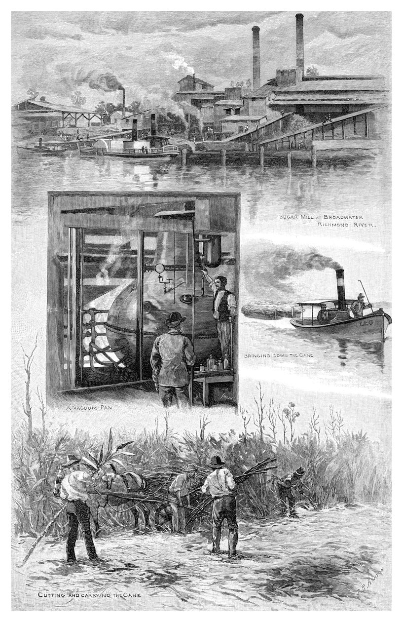 Sukkerindustrien, Richmond River, New South Wales, Australien, 1886. af J. R. Ashton