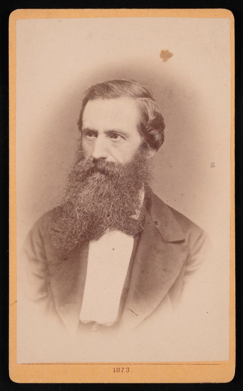 Portræt af Mordecai Cubitt Cooke 1825-1914, 1873. af J Stegmann
