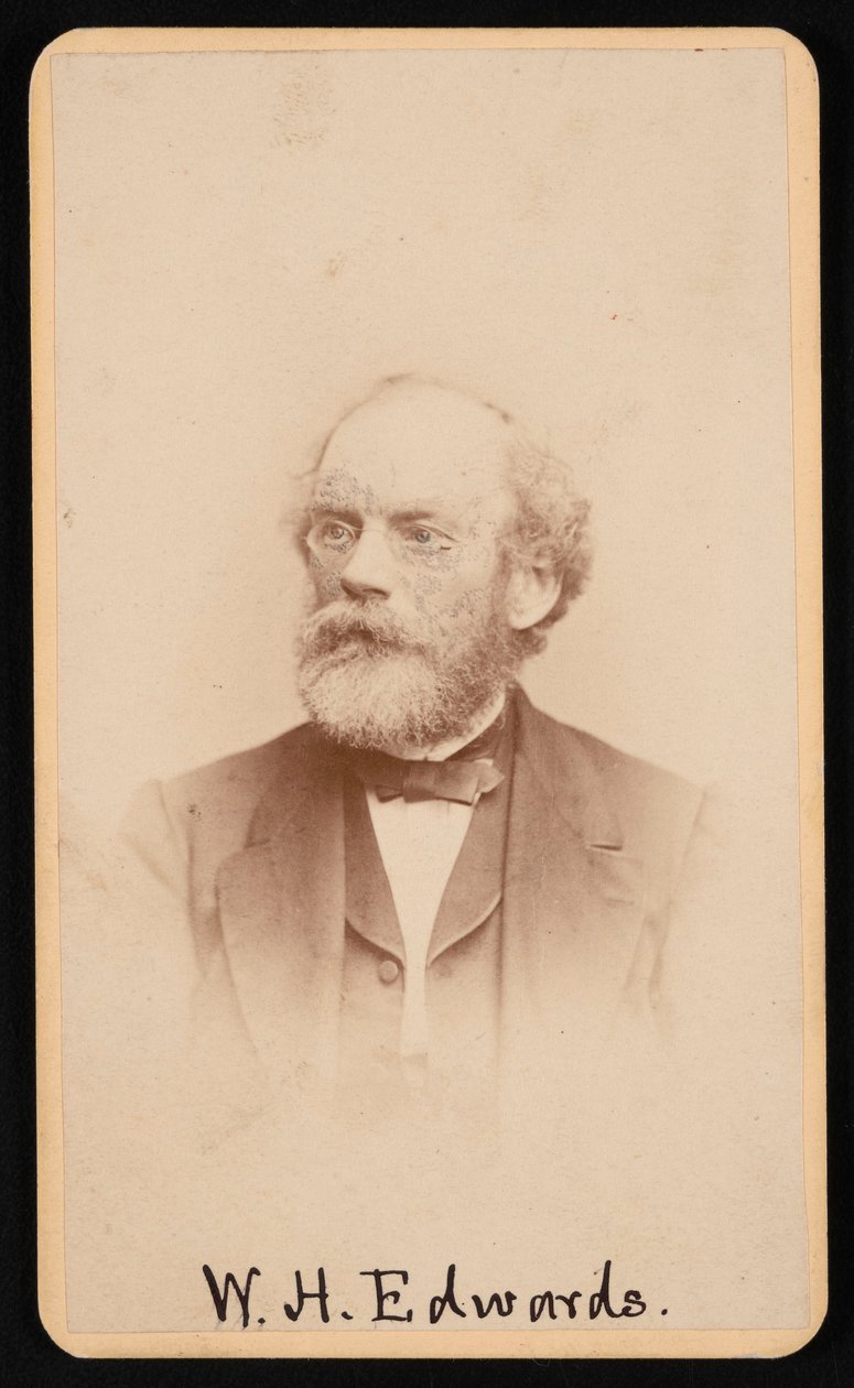 Portræt af William Henry Edwards 1822-1909, omkring 1870