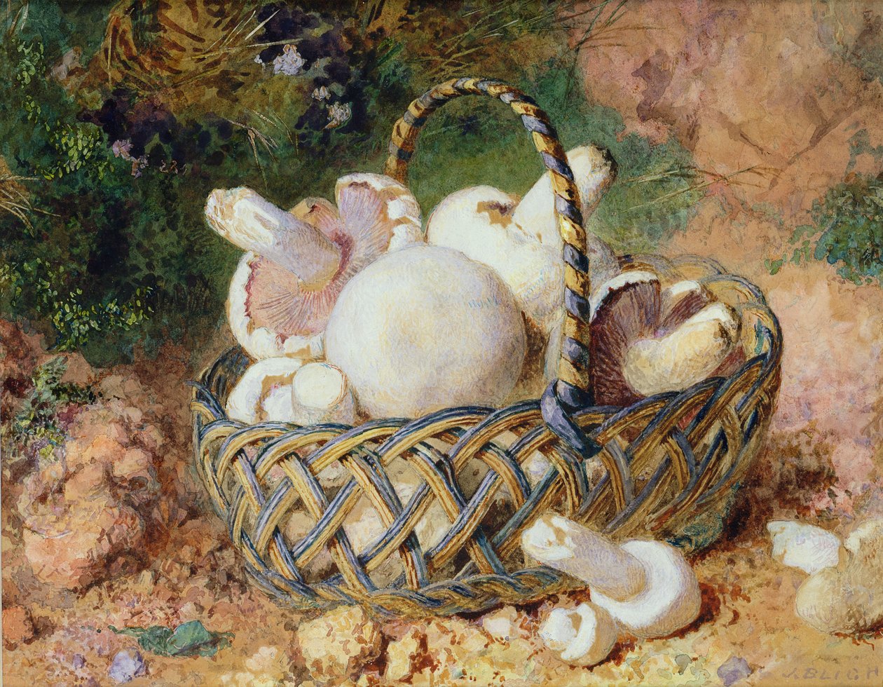 En kurv med svampe, 1871 (se 215285 for par) af Jabez Bligh