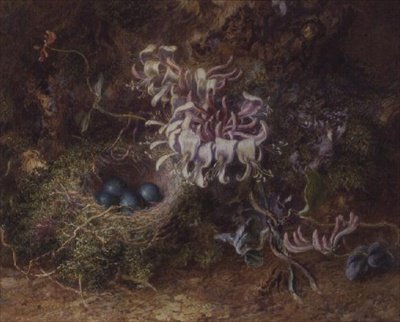 Fuglerede og kaprifolier af Jabez Bligh