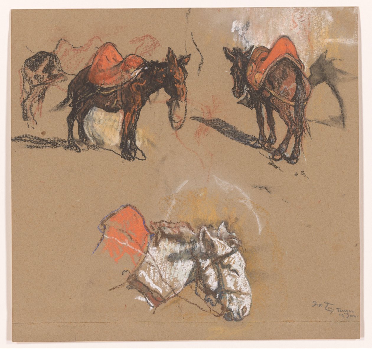 Studier af æsler og et muldyr på Grote Markt i Tanger af Jac van Looij (signed by artist)