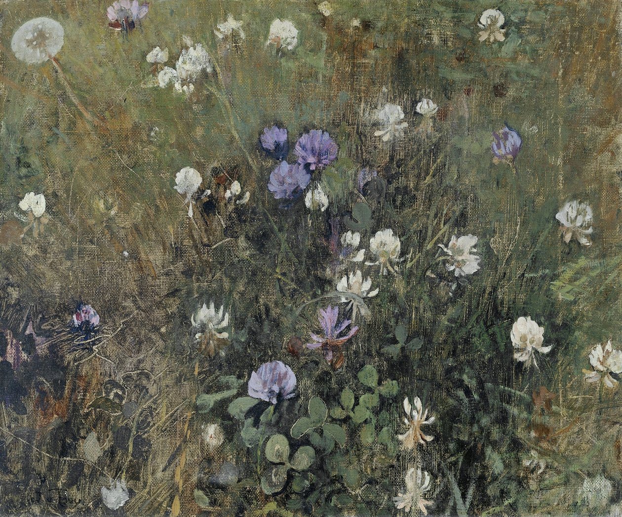 blomstrende kløver af Jac van Looij