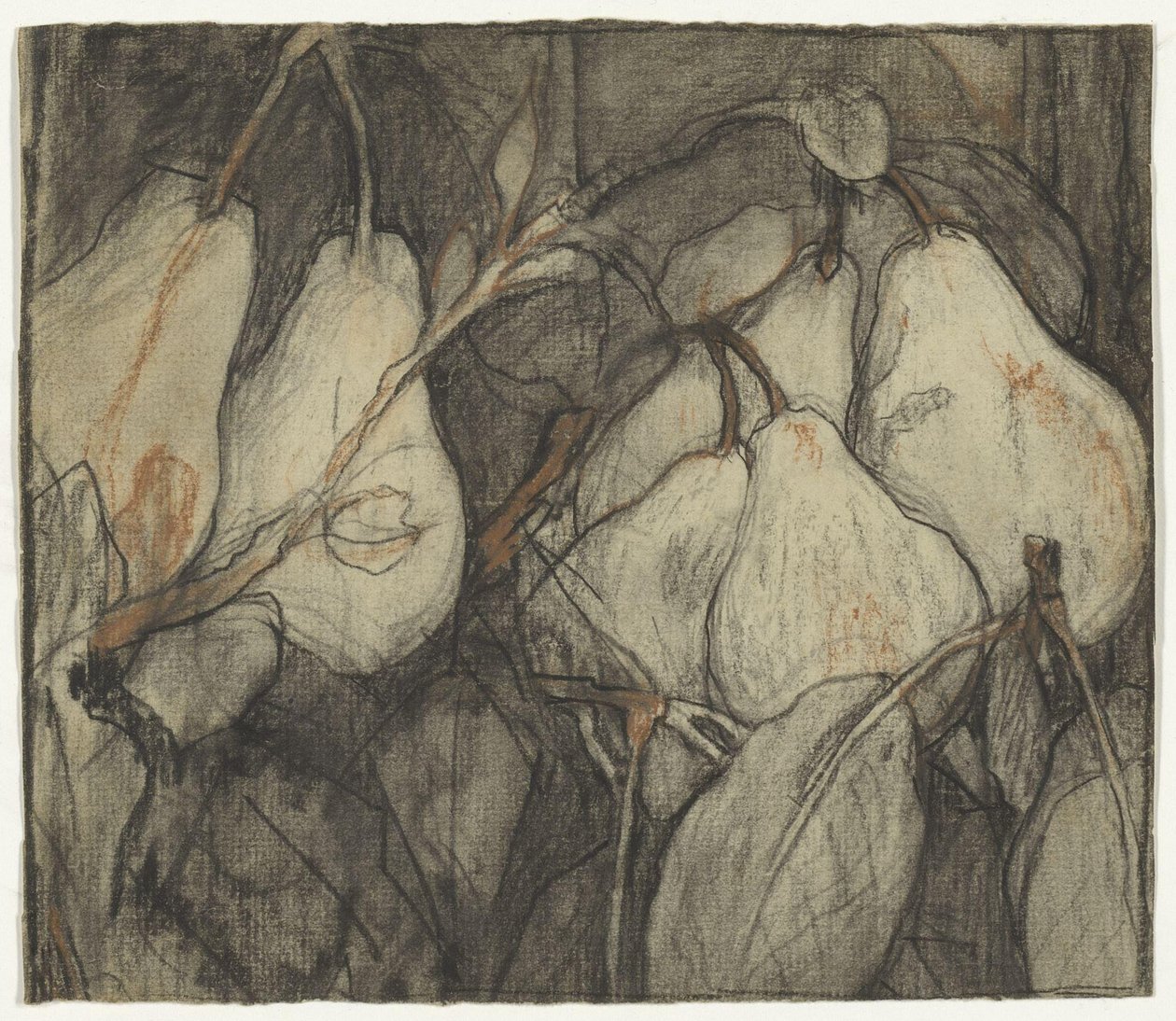 Hertuginde af Angouleme-peren af Jac van Looij
