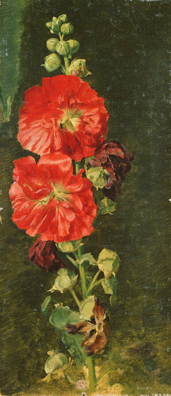 A Stockrose, 1827 af Jacob Gensler