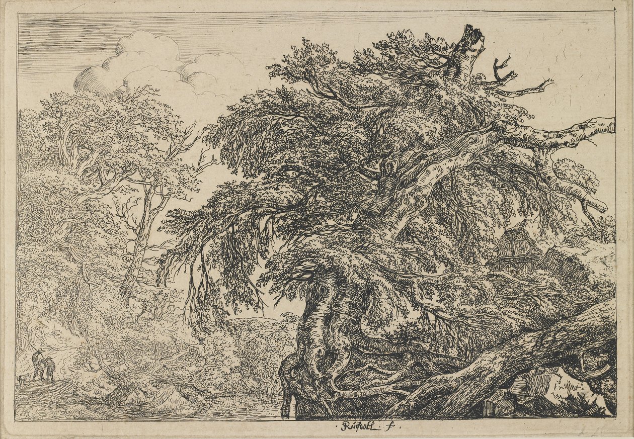 Den store bøg med to mænd og en hund, ca. 1650-1655 af Jacob van Ruisdael