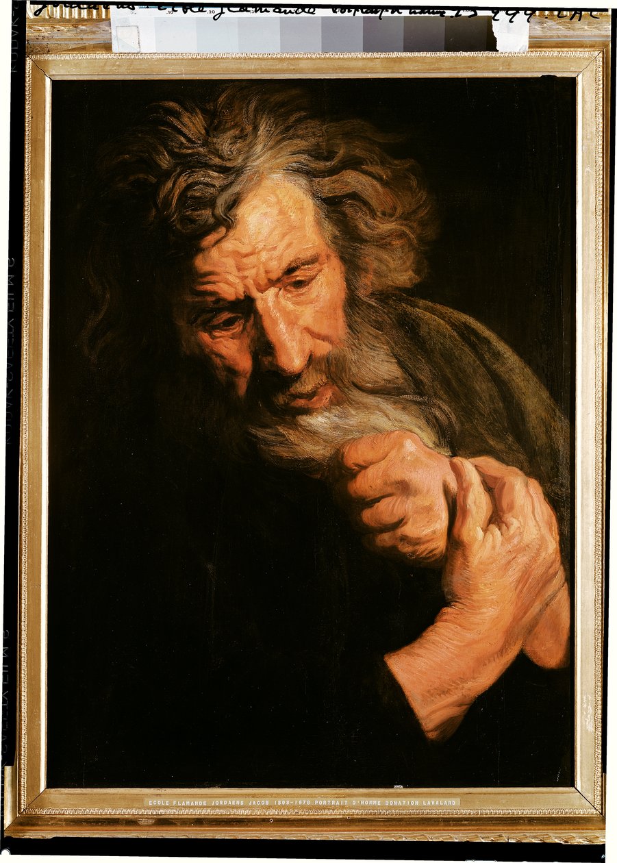 Portræt af en mand af Jacob Jordaens