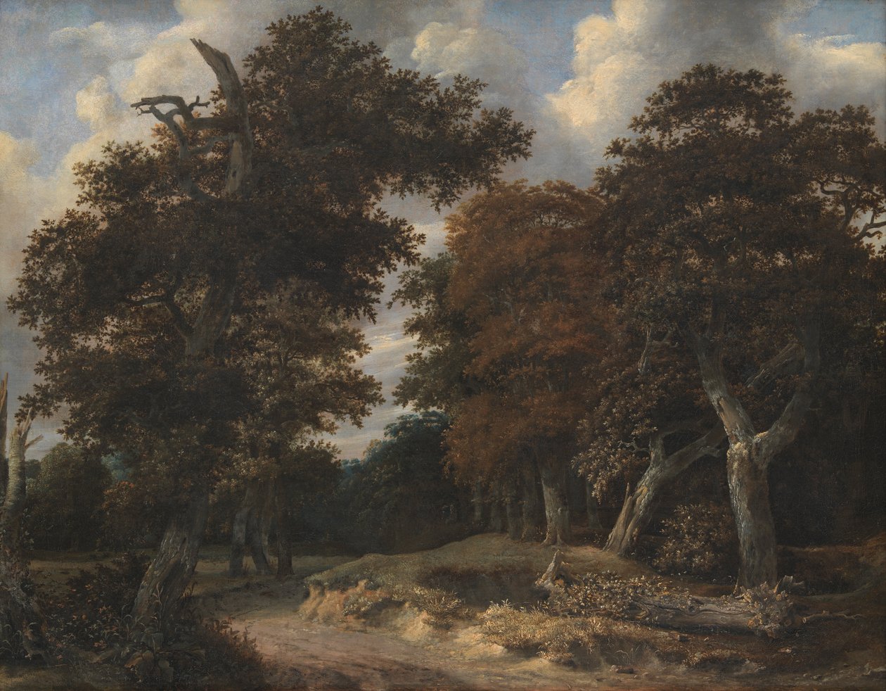 Vejen gennem en egeskov af Jacob van Ruisdael