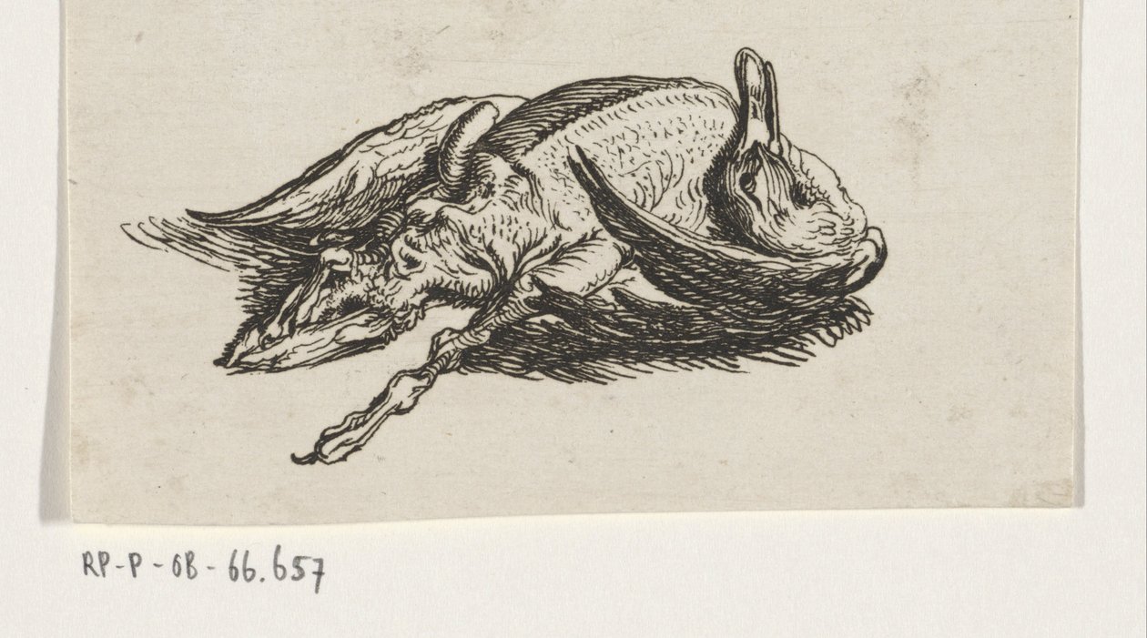 død and af Jacob Elias van Varelen