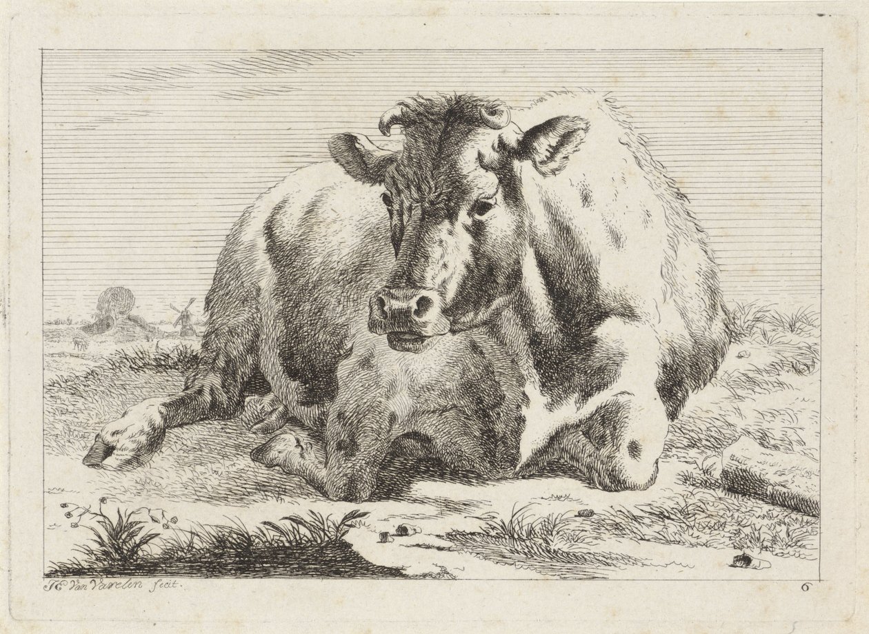 liggende ko Seks tryk efter tegninger af forskellige mestre (serietitel) af Jacob Elias van Varelen