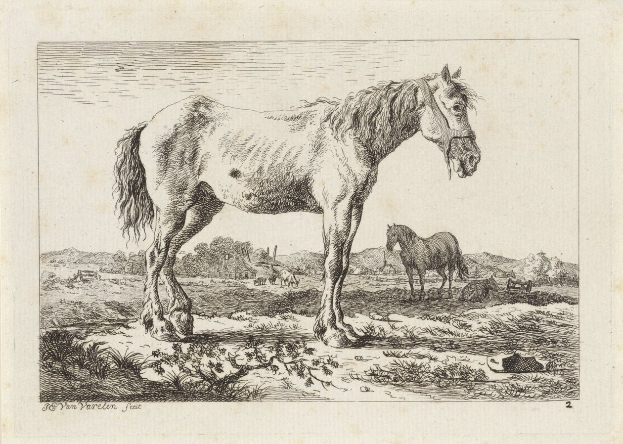 Stående hest i et landskab Seks tryk efter tegninger af forskellige mestre (serietitel) af Jacob Elias van Varelen
