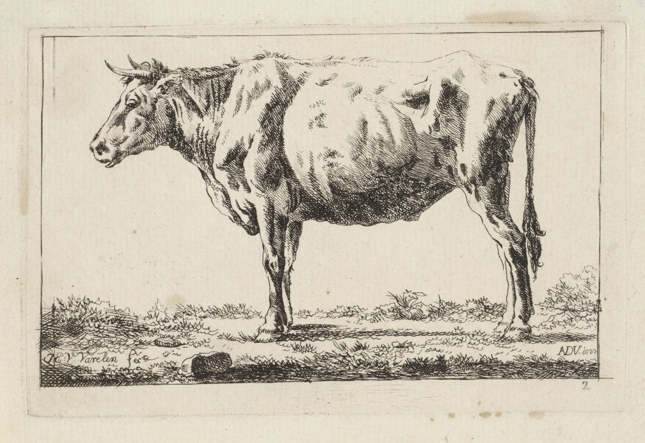 Stående ko, til venstre af Jacob Elias van Varelen