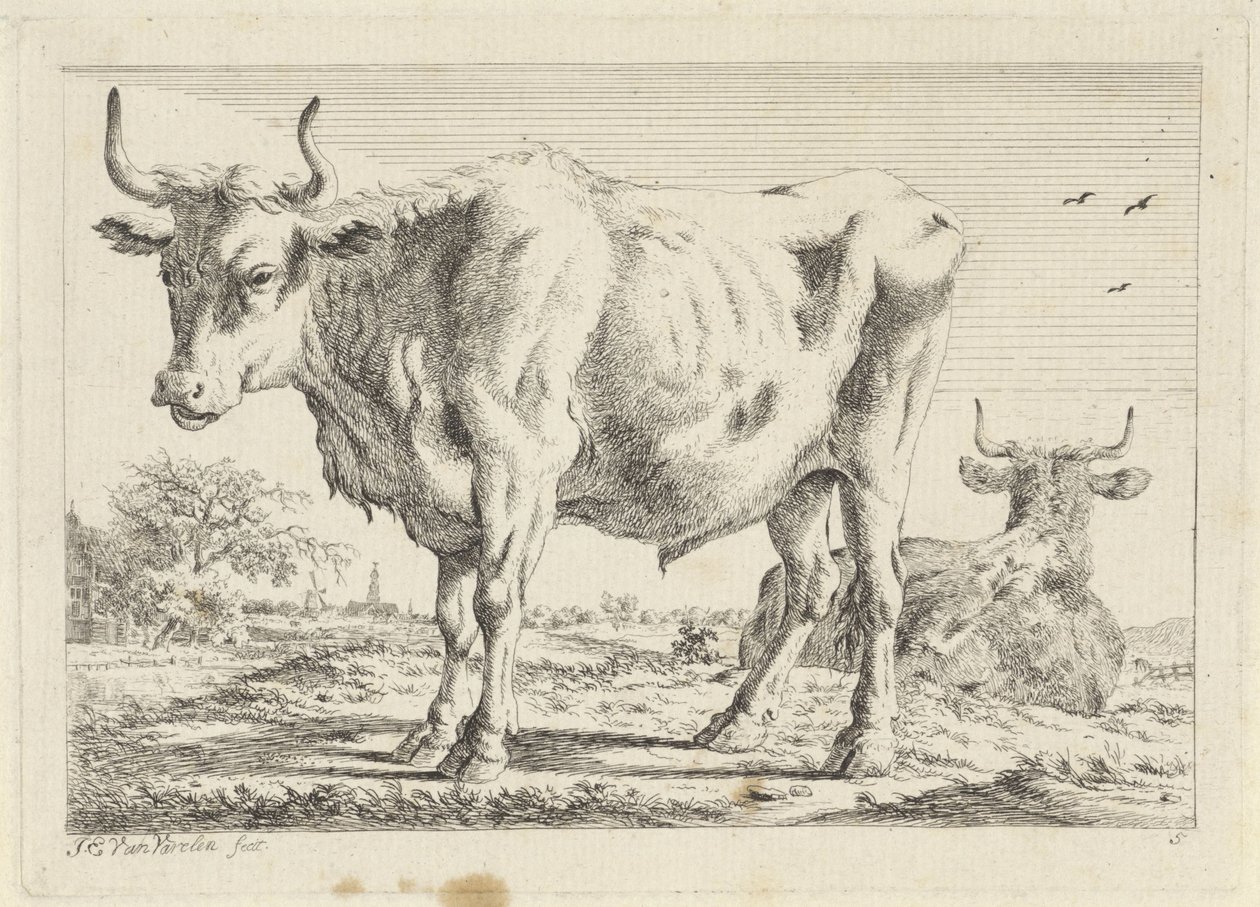 Stående og liggende okse Seks tryk efter tegninger af forskellige mestre (serietitel) af Jacob Elias van Varelen
