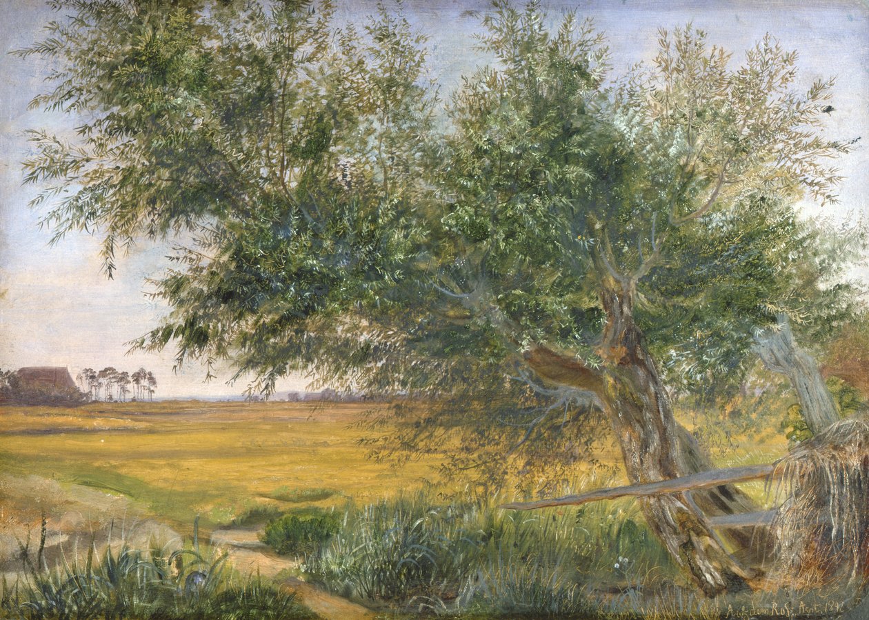 Det gamle træ, 1842 (olie på papir monteret på kort) af Jacob Gensler