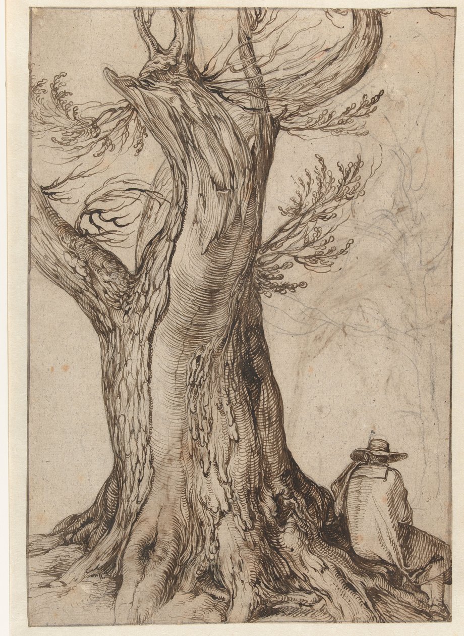 Undersøgelse af en træstamme af Jacob II de Gheyn