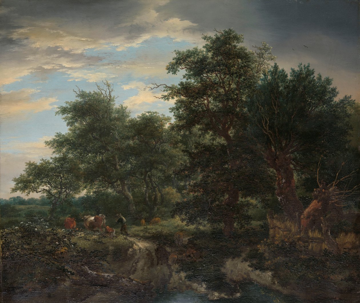 Skovscene af Jacob van Ruisdael