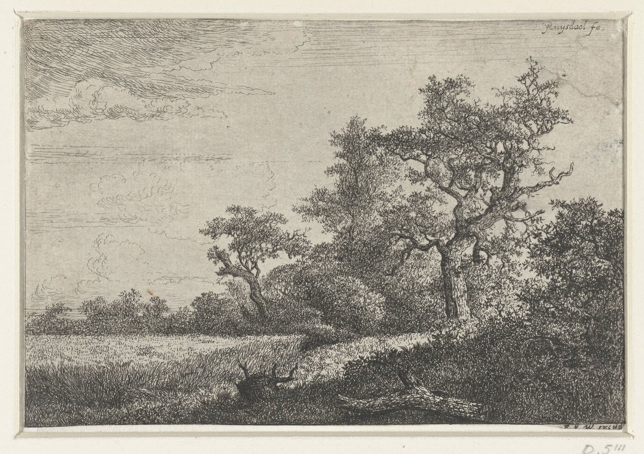 Kornmarken af Jacob van Ruisdael