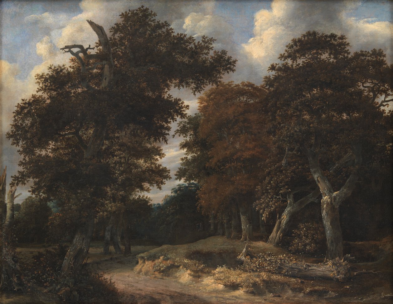 Vej gennem en Egeskov af Jacob van Ruisdael