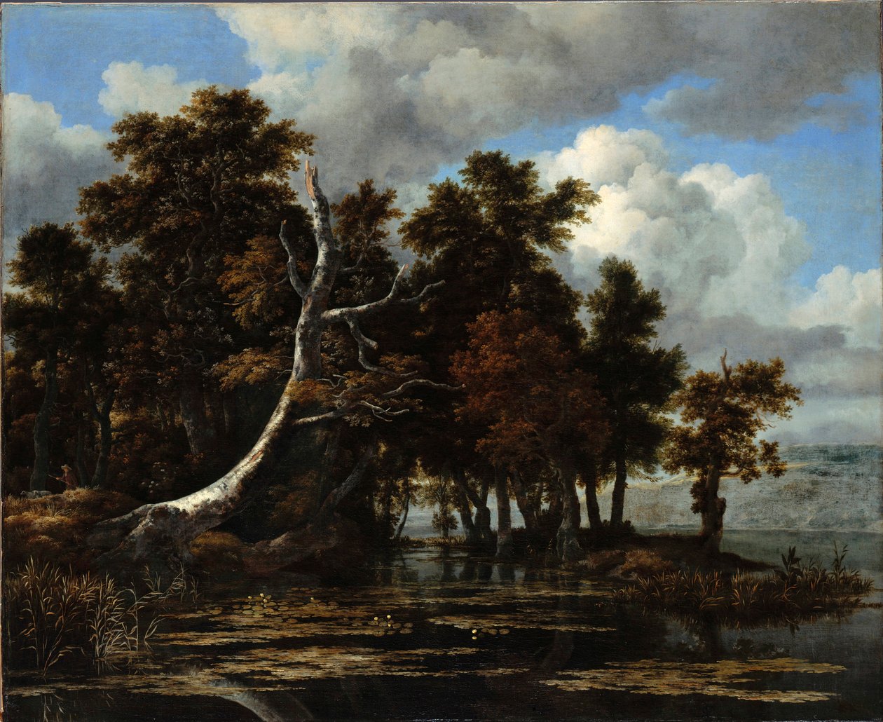 ""Ege ved en sø med åkander" Maleri af Jacob Isaacksz van Ruisdael (1628/29-1682) Olie på lærred Dim 116,6x142 cm Staatliche Museen, Berlin af Jacob van Ruisdael