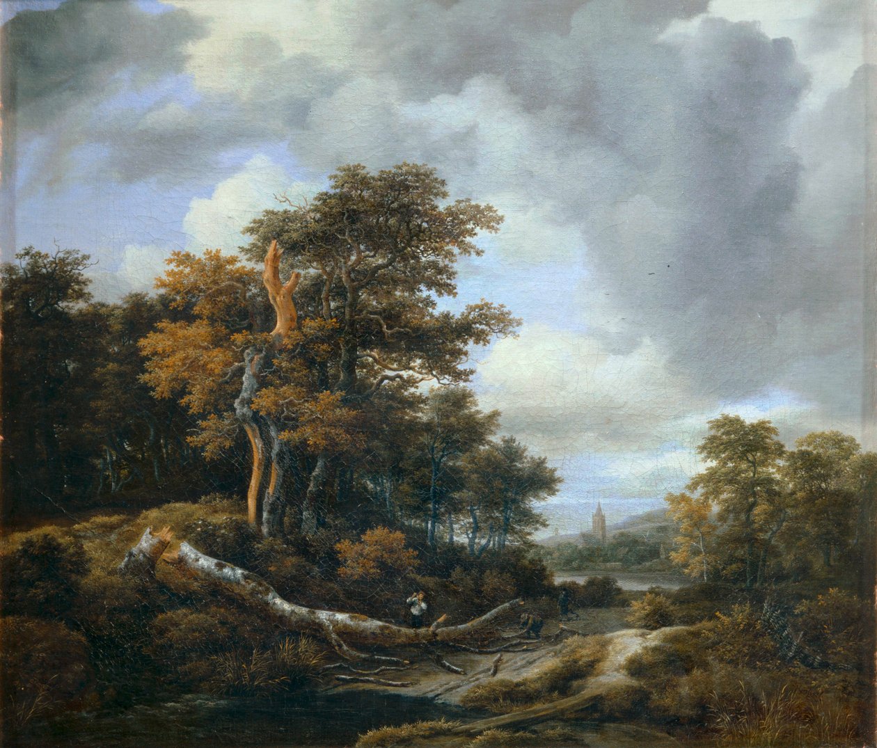 Indgang til et træ ... af Jacob Isaaksz. or Isaacksz. van Ruisdael