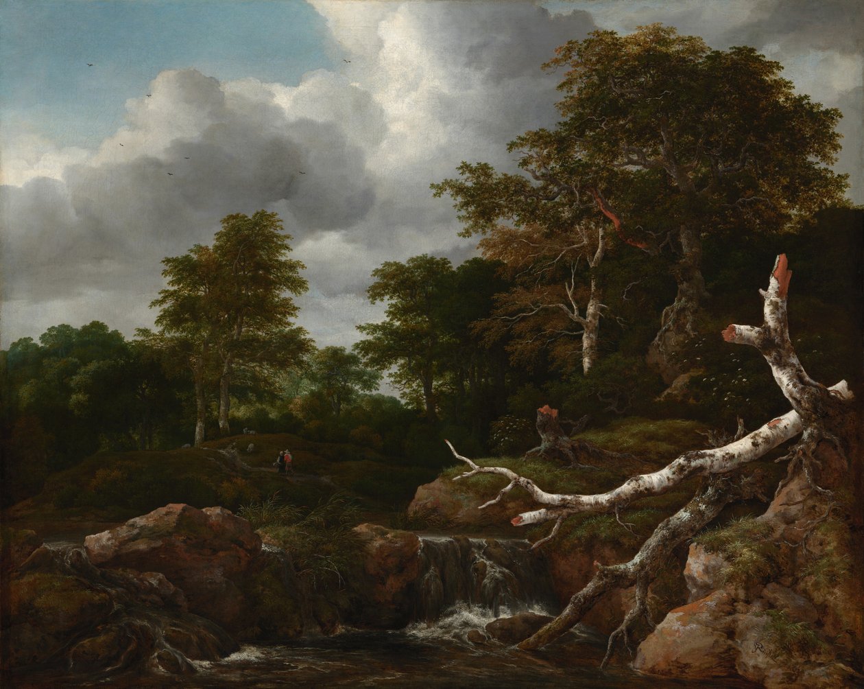 Skovscene, ca. 1655 (olie på lærred) af Jacob van Ruisdael