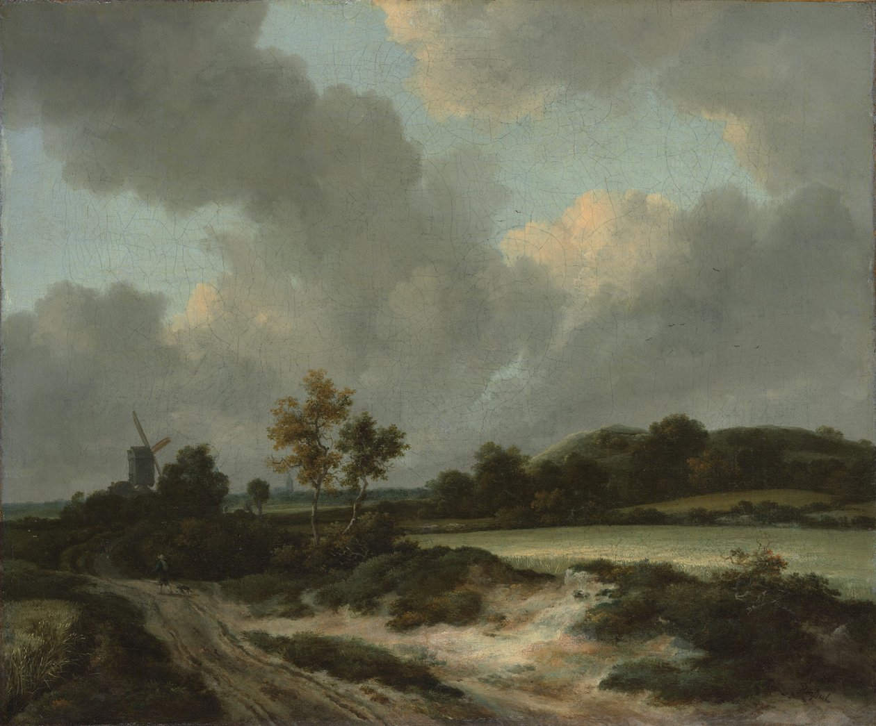Grainfields, ca. 1660 (olie på lærred) af Jacob van Ruisdael