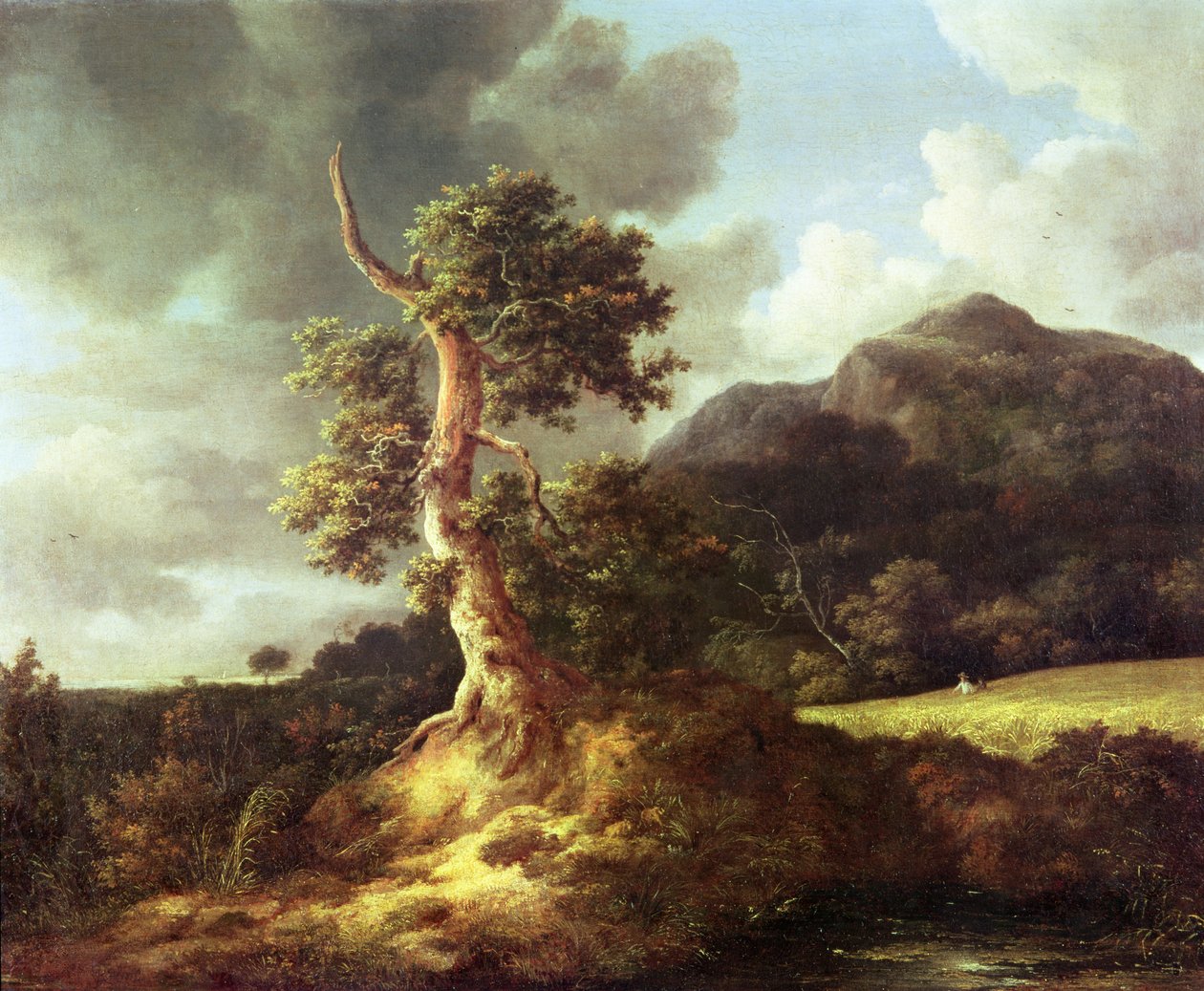 Ukendt billede af Jacob van Ruisdael