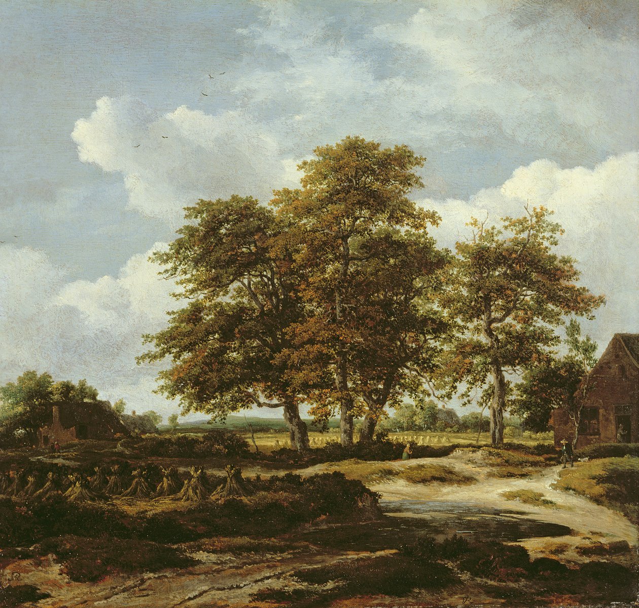 Skovlandskab med kornmarker, ca. 1655-60 (olie på lærred) af Jacob Isaaksz. or Isaacksz. van Ruisdael