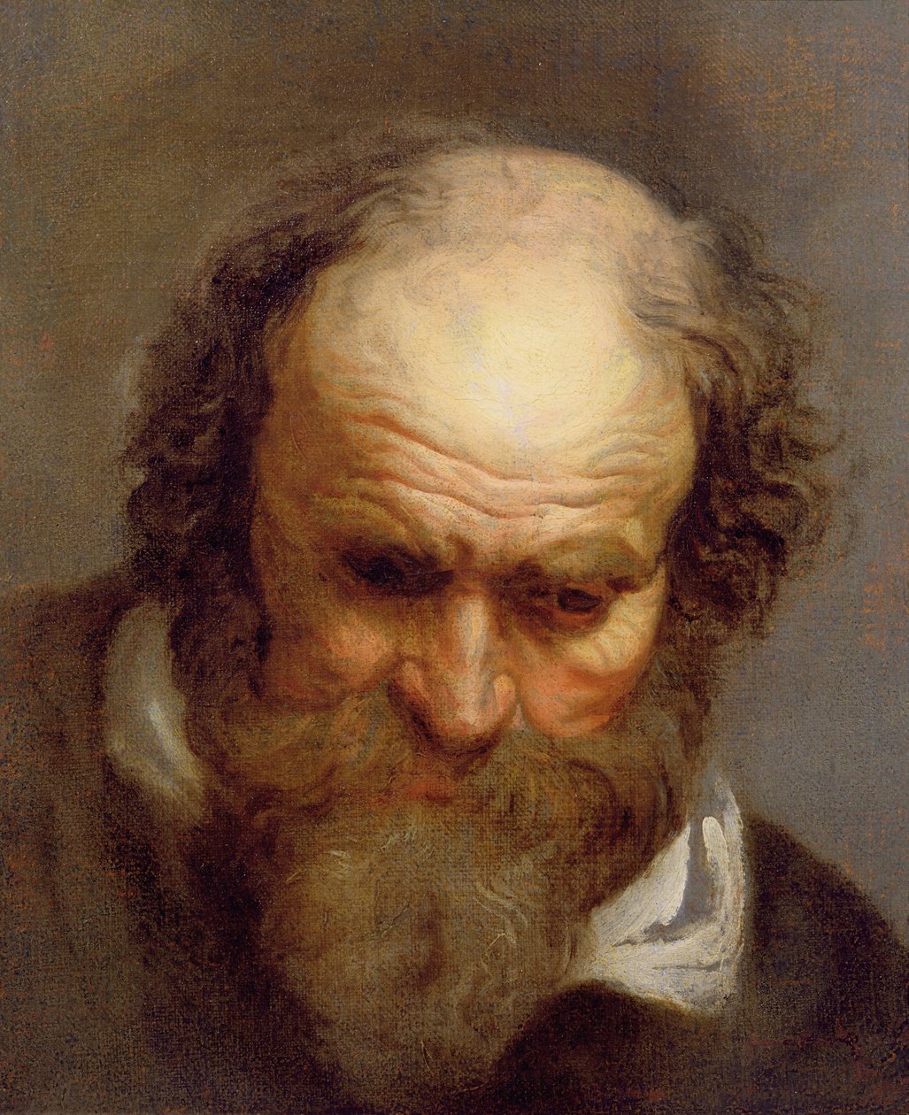 Hoved af en gammel mand af Jacob Jordaens