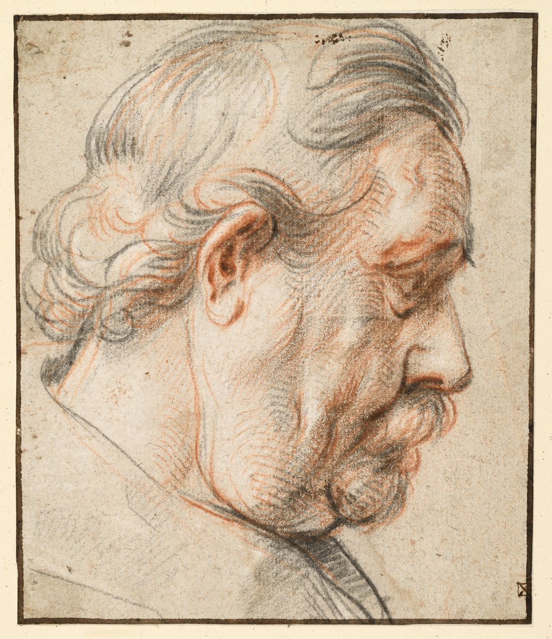 Hoved af en mand i profil mod højre af Jacob Jordaens