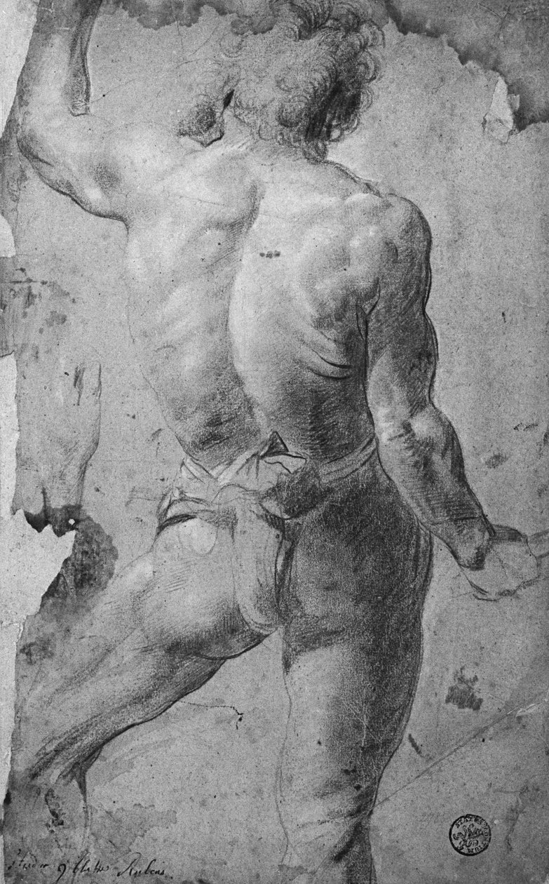 Stående nøgen mand (sort kridt & sangvinsk på papir) af Jacob Jordaens