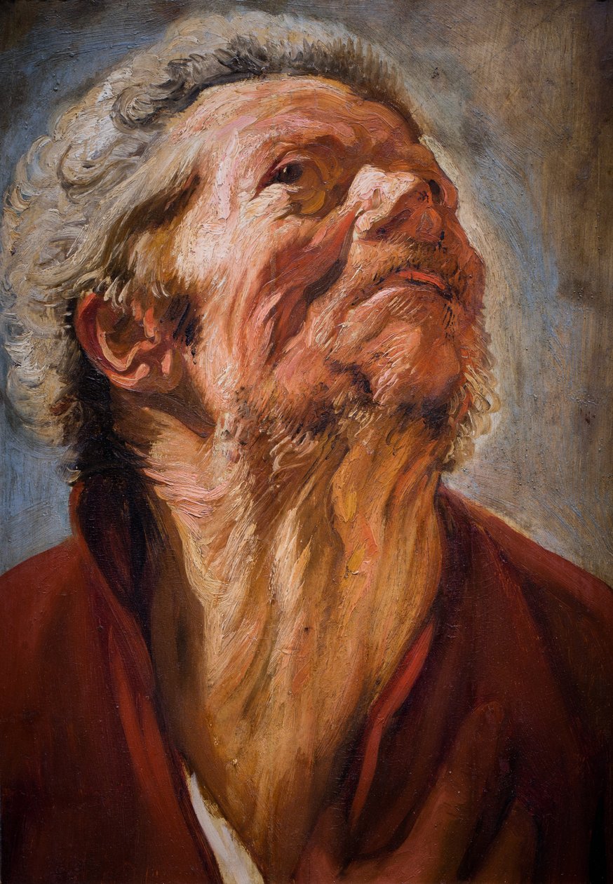 Leder af undersøgelsen af Jacob Jordaens