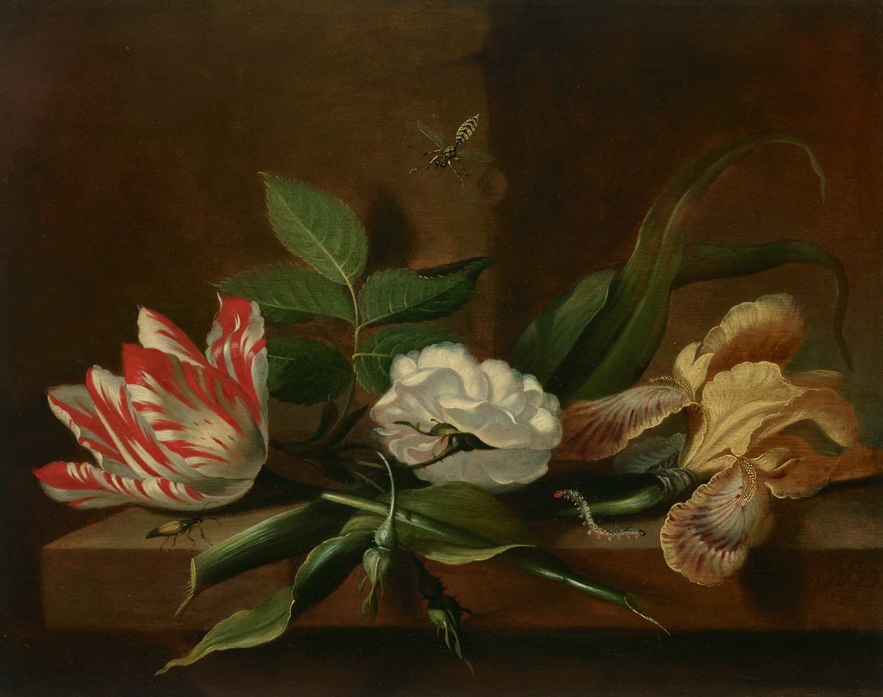 En papegøjetulipan, en rose, en iris og insekter på et træbord af Jacob Marrel