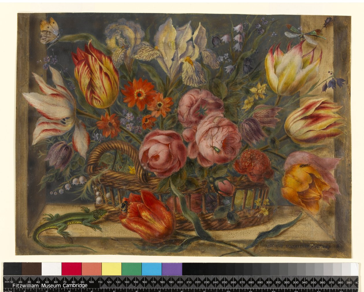 Blomsterstudie: diverse blomster i en kurv, med insekter og et firben i vinduer, 1634 af Jacob Marrel
