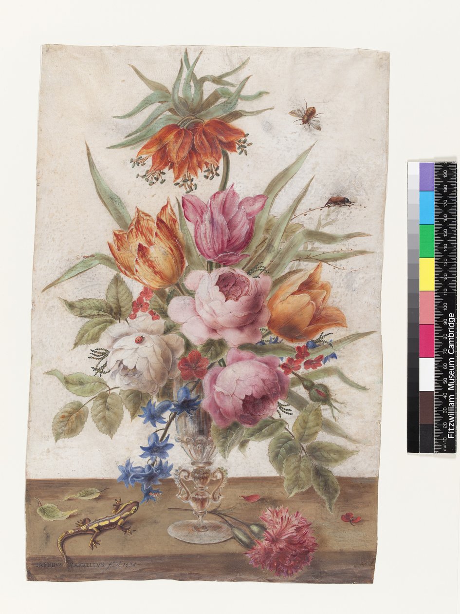 Venetiansk glasbæger indeholdende blomster med firben og insekter, 1634 (gouache på vellum) af Jacob Marrel