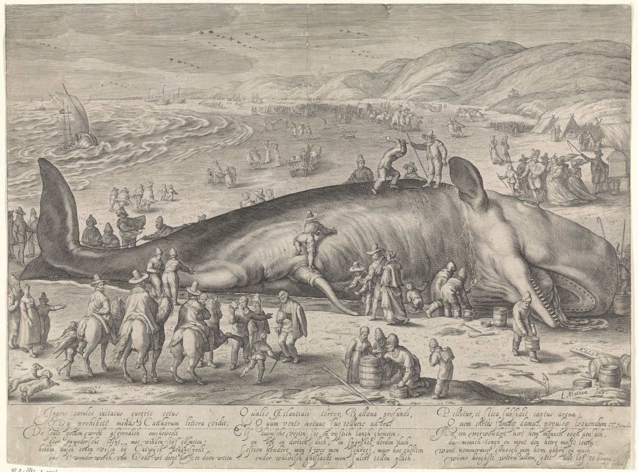 Hval strandede ved Berckhey, 1598 af Jacob Matham
