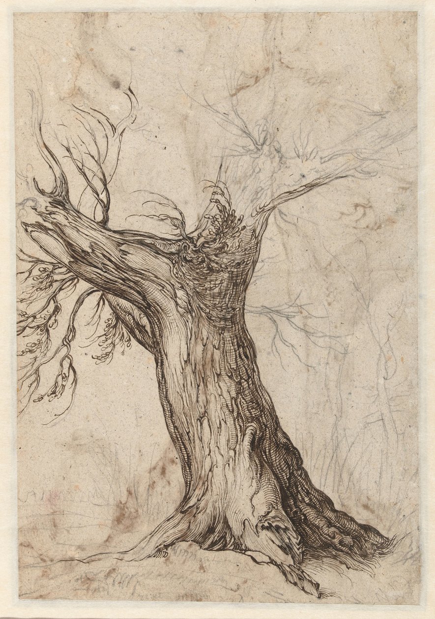 Kastanjetræ med nogle træer omkring af Jacob de Gheyn (II)