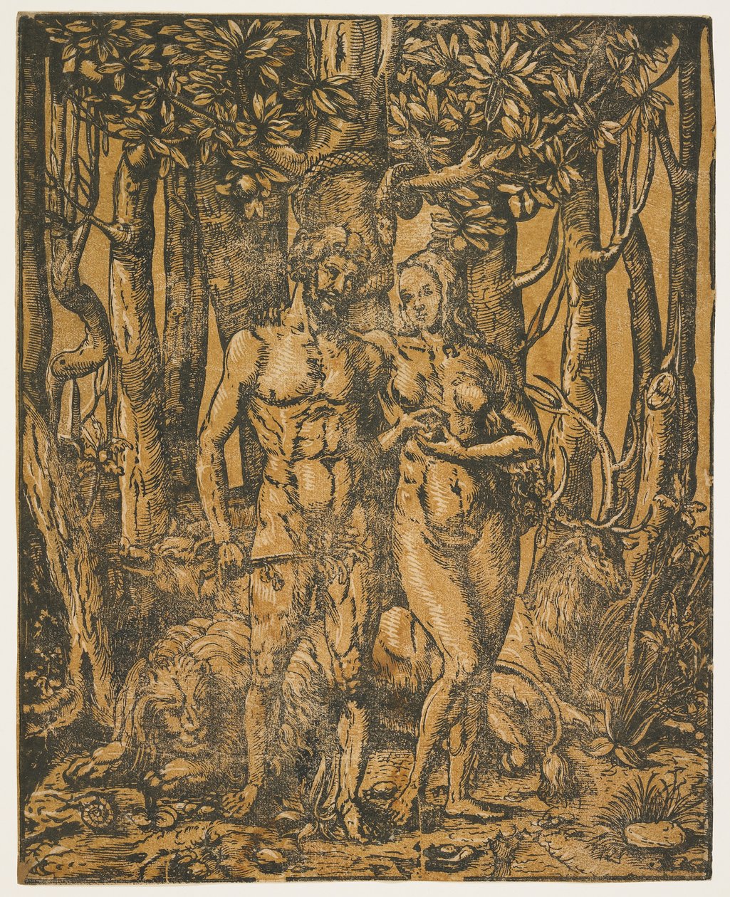 Adam og Eva, 1500-tallet af Jacob the Elder attr. to Lucius