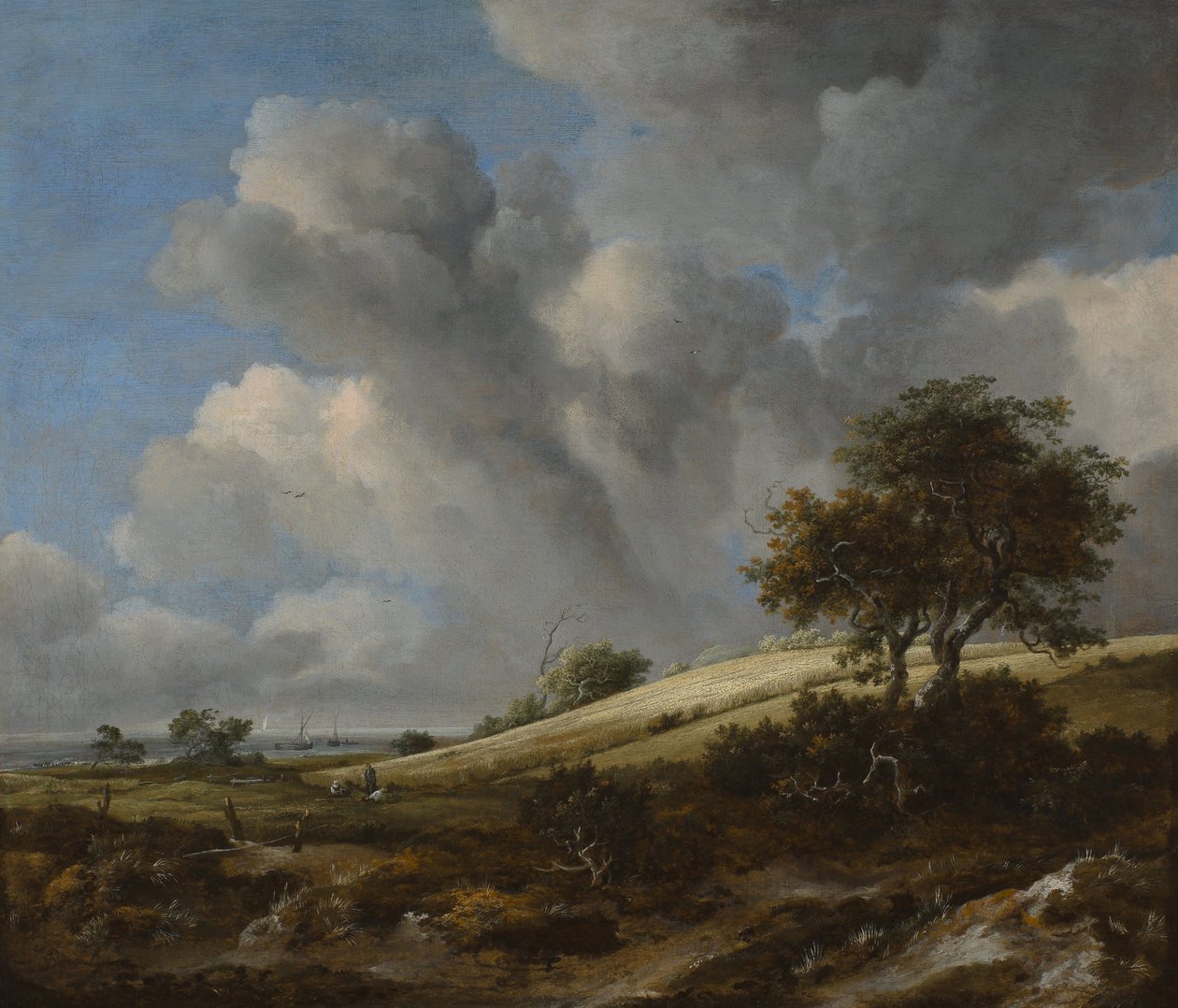 En kornmark med Zuiderzee i baggrunden, ca. 1660 af Jacob van Ruisdael