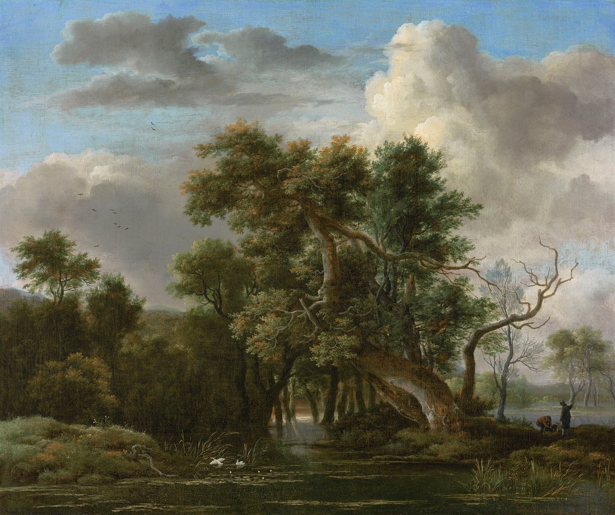 En pool i skoven af Jacob van Ruisdael