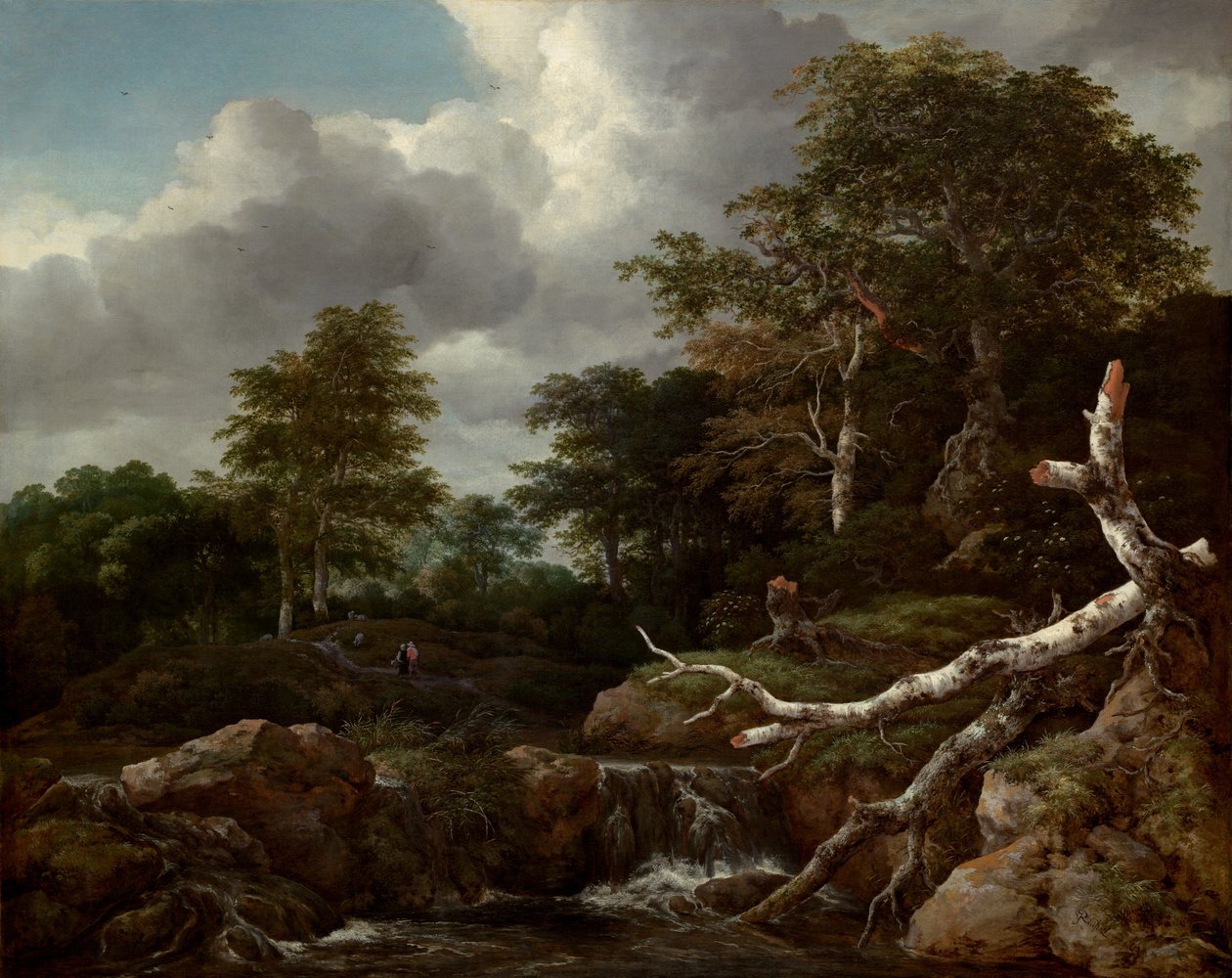 Skovscene af Jacob van Ruisdael