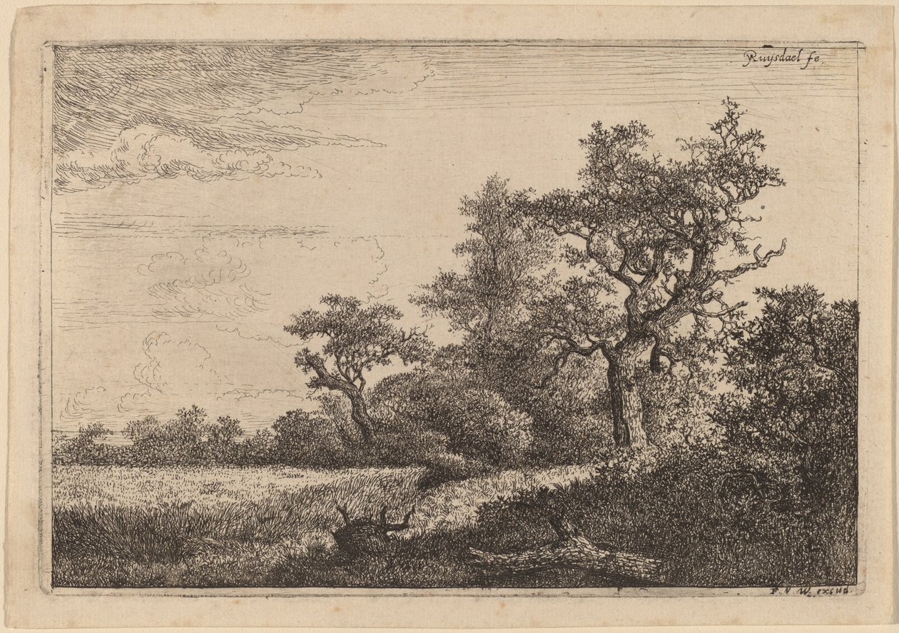 Kornmark ved kanten af en skov (majsmark) af Jacob van Ruisdael