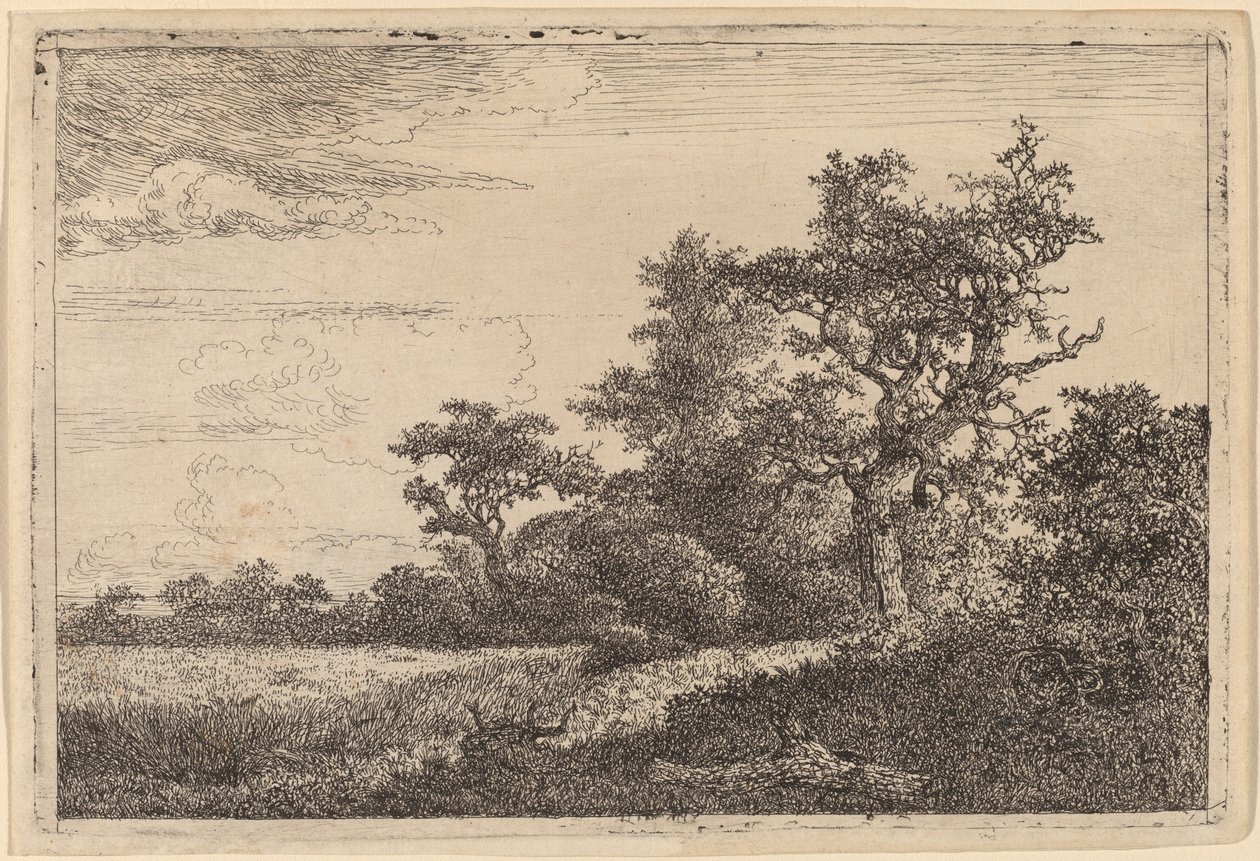 Kornmark ved kanten af en skov (majsmark) af Jacob van Ruisdael