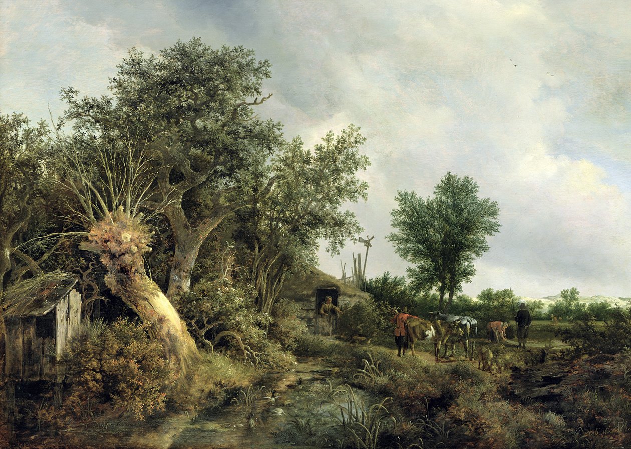 Landskab med en hytte, 1646 af Jacob van Ruisdael