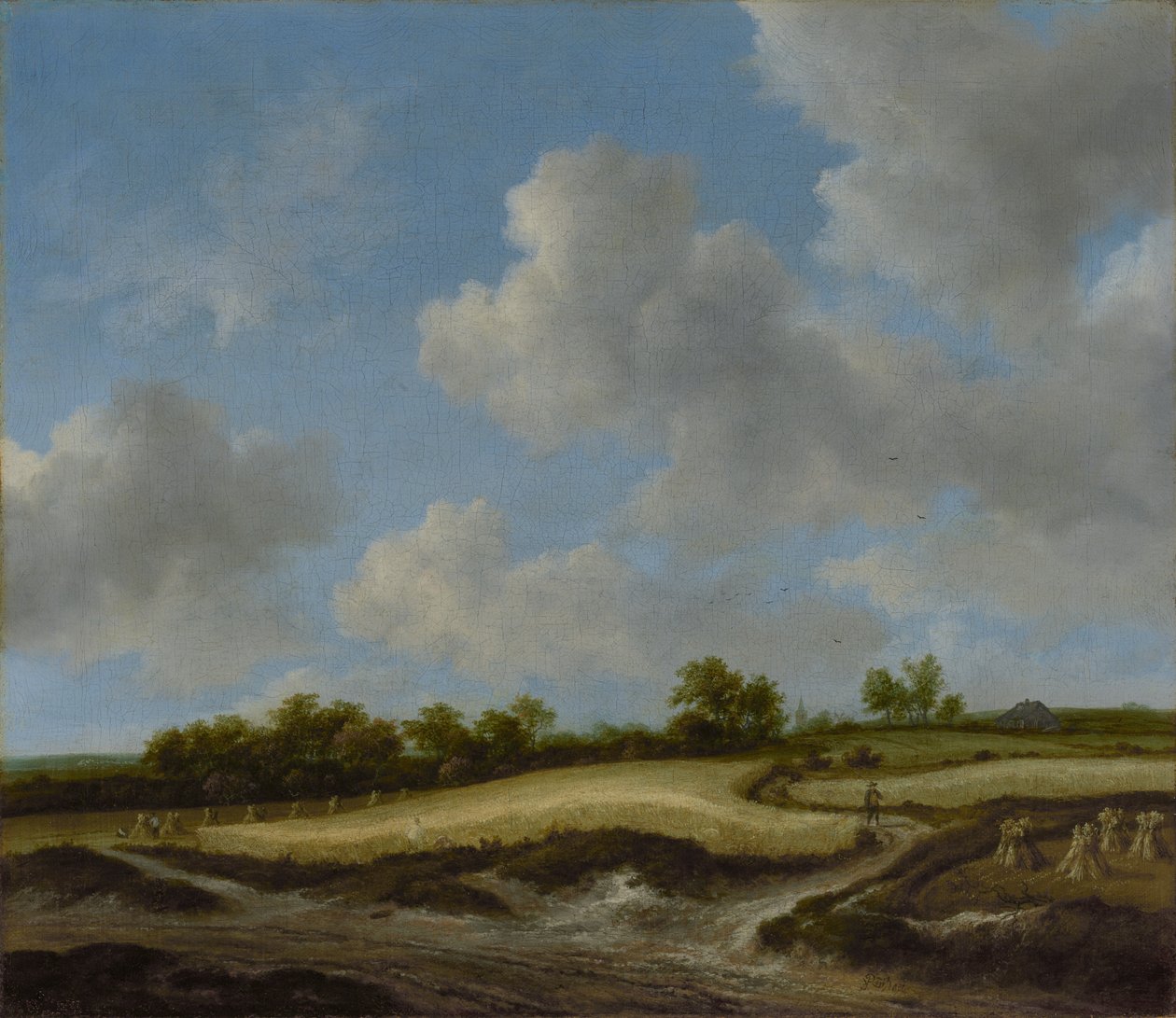 Landskab med en hvedemark af Jacob van Ruisdael